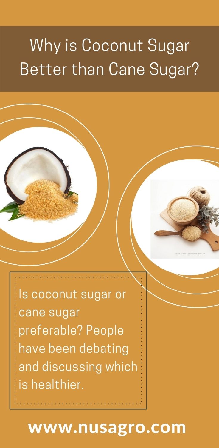 Coconut Sugar better Cane Sugar