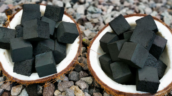 Coconut Shell Charcoal: Uses and Benefits