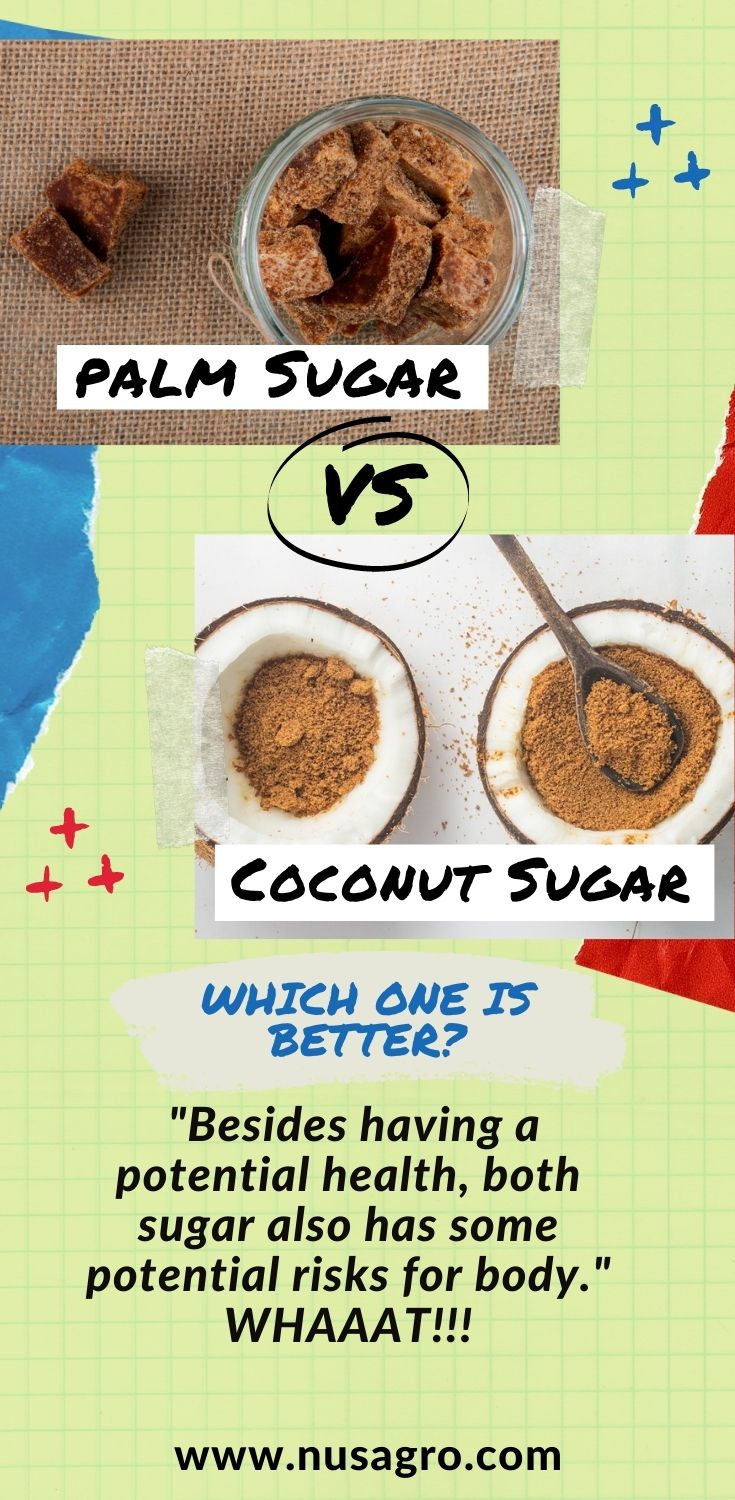 Palm Sugar Vs Coconut Sugar 