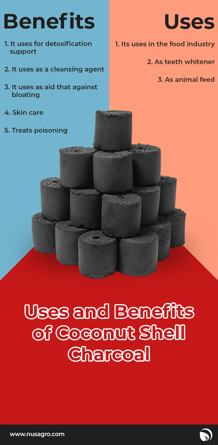 √ Coconut Shell Charcoal: Uses and Benefits -Nusagro