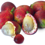 Benefits of Matoa Fruit