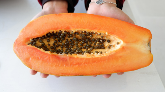 Papaya Seeds Side Effects, Avoid Excessive Consumption