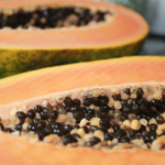 Look For Papaya Seeds for Sale, Find the Best Papaya Seeds that You Want