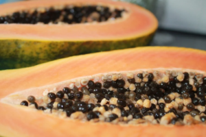 Look For Papaya Seeds for Sale, Find the Best Papaya Seeds that You Want