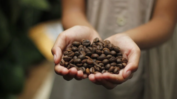 5 Best Coffee Beans for Espresso in The World