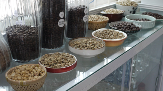 Best Way to Store Coffee Beans that You Should Know