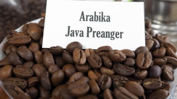 Everything You Need to Know about Java Preanger Coffee