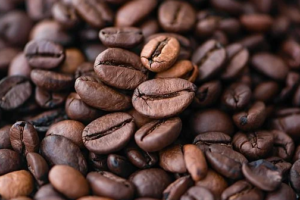 Buy Gayo Coffee Beans Indonesia