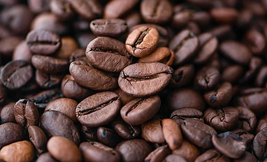 Gayo Coffee Beans: Exploring the Taste of Sumatra