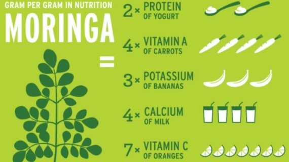 Overview of Moringa Leaves Nutrition