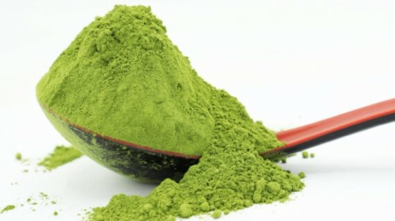 10 Best Moringa Powders of 2022