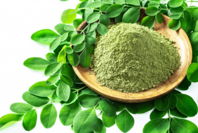 what moringa can cure