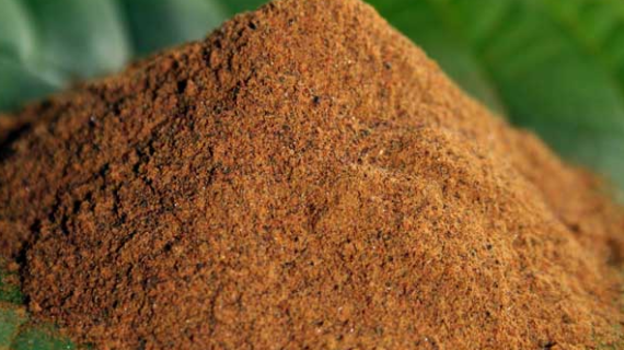 What is Red Kratom: Effects, Uses, Benefits