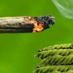 Smoking Kratom: Safety and Side Effects