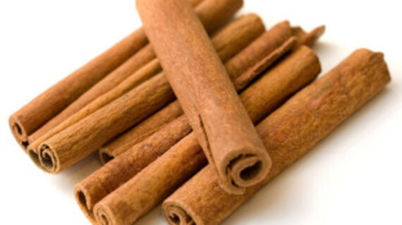 4  The Health Benefits of Ceylon Cinnamon