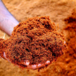 What is Coco Peat Soil? Benefits, Uses And How to Make it