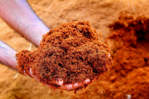 benefit of coco peat soil