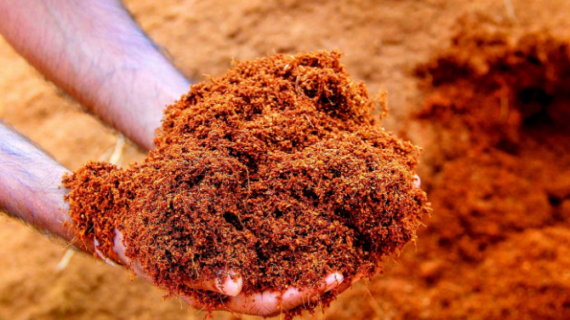 What is Coco Peat Soil? Benefits, Uses And How to Make it
