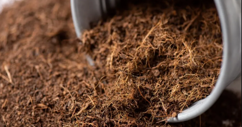 how to make coco peat soil