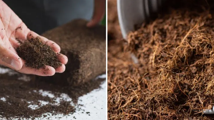 type of coco peat soil 