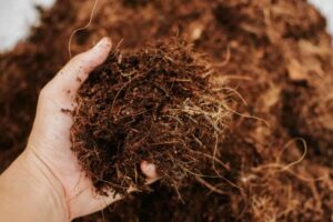Use coco peat in hydroponics
