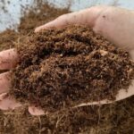 What is Coco Coir? Benefits and How to Use It