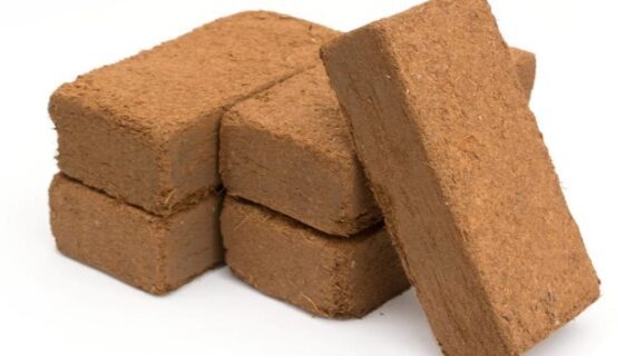 Coco Coir Brick: The Natural Path to Lush and Healthy Plants