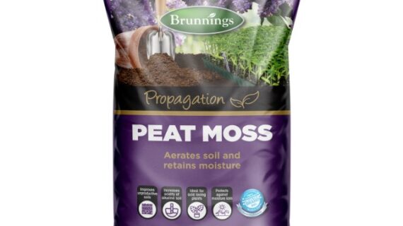 Coco Peat Bunnings: The Ultimate Growing Medium for Your Garden