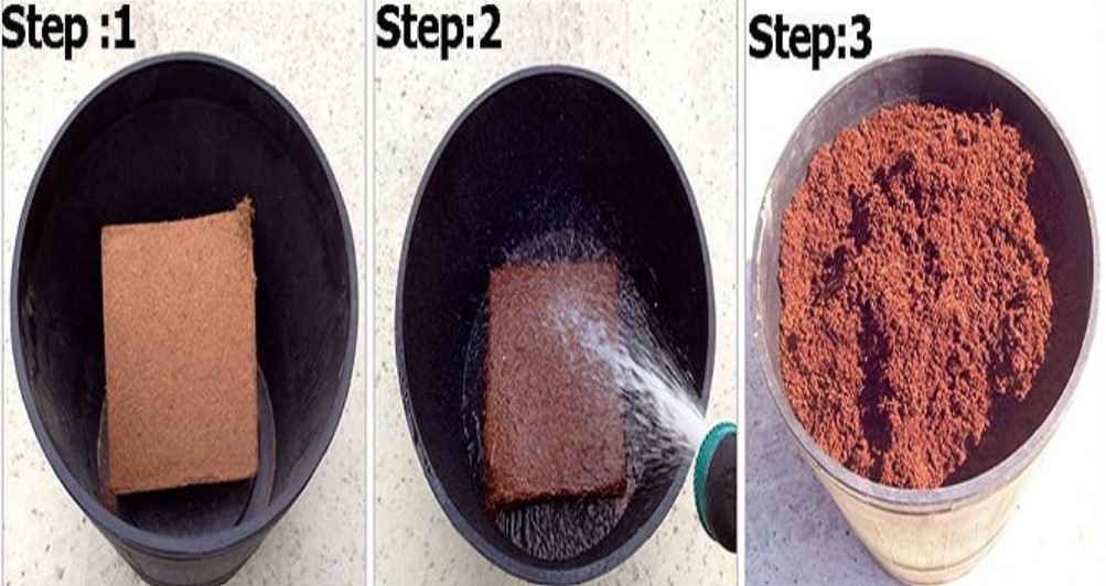 how to make coco peat brick