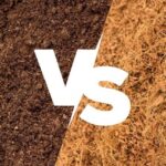 Peat Moss vs Coco Coir: The Ultimate Growing Medium Face-Off
