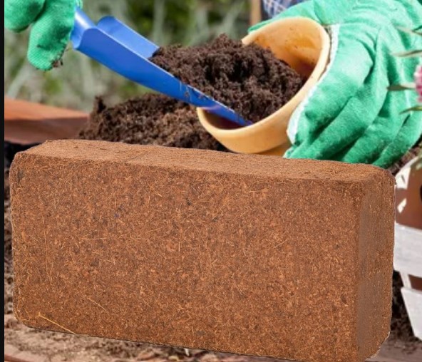utilizing coco peat brick