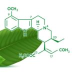 The Chemistry of Kratom: Unveiling Its Alkaloid Diversity