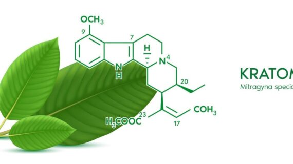 The Chemistry of Kratom: Unveiling Its Alkaloid Diversity