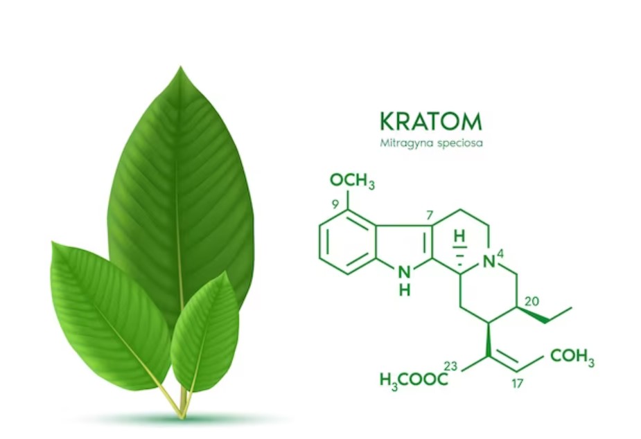 Chemical Composition of Kratom