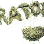 Kratom Research Landscape: Gaps, Challenges, and Future Perspectives