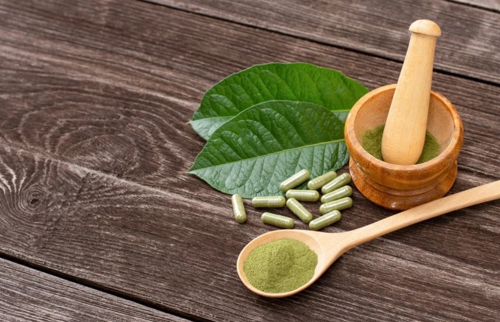Historical and Cultural Use of Kratom