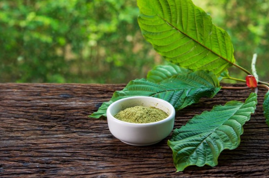 Kratom's Appeal as a Natural Remedy