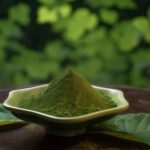 The Debate Surrounding Kratom: Weighing its Benefits and Risks