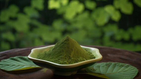 The Debate Surrounding Kratom: Weighing its Benefits and Risks