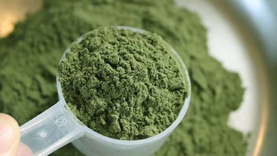 Is Kratom Safe? An Evidence-Based Look at Its Health Effects