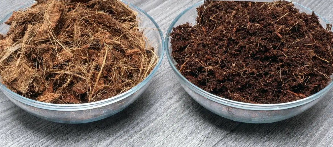 coco peat vs coco coir