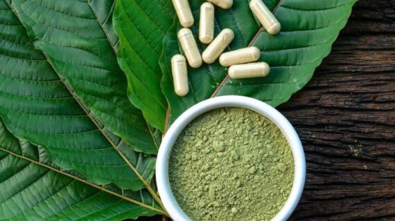 Kratom: Unraveling the Controversial Herb’s Origins and History