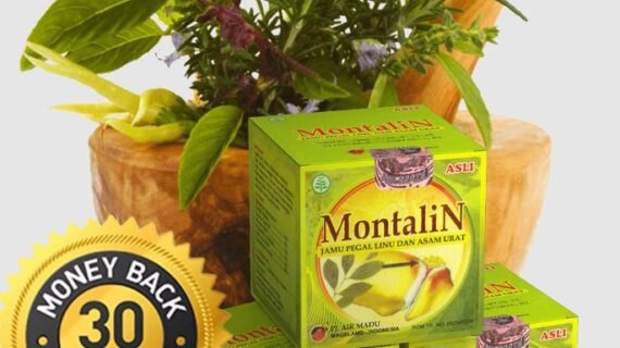 Montalin Capsule: An Herbal Remedy for Osteoarthritis Management
