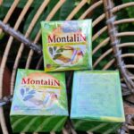 Montalin Capsule: Empowering Your Body’s Natural Healing Processes
