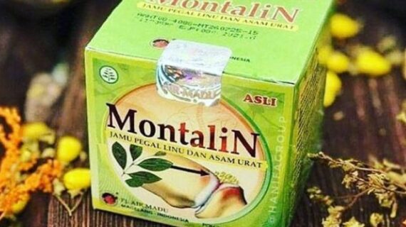 The Herbal Wisdom of Montalin Capsule: A Time-Tested Remedy