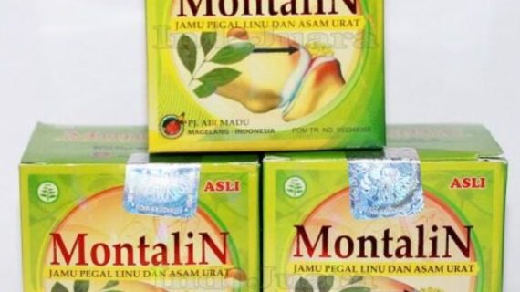 Natural Healing with Montalin Capsule: A Holistic Approach to Wellness
