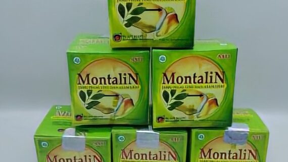 Joint Health Reinvented: The Montalin Capsule Advantage