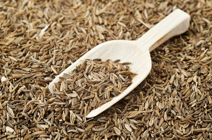 Caraway Seeds for sell